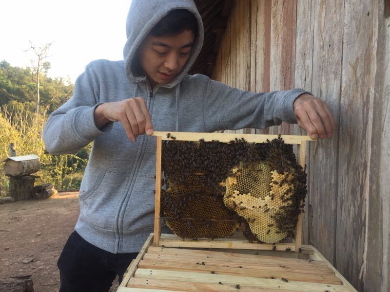 扫雷、养蜂、创业、住帐篷……这一定是个假的富二代！