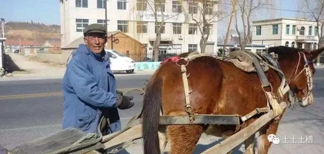 工作两年赚了100万，他却辞职去日本旅居，把更多年轻人带去了那里