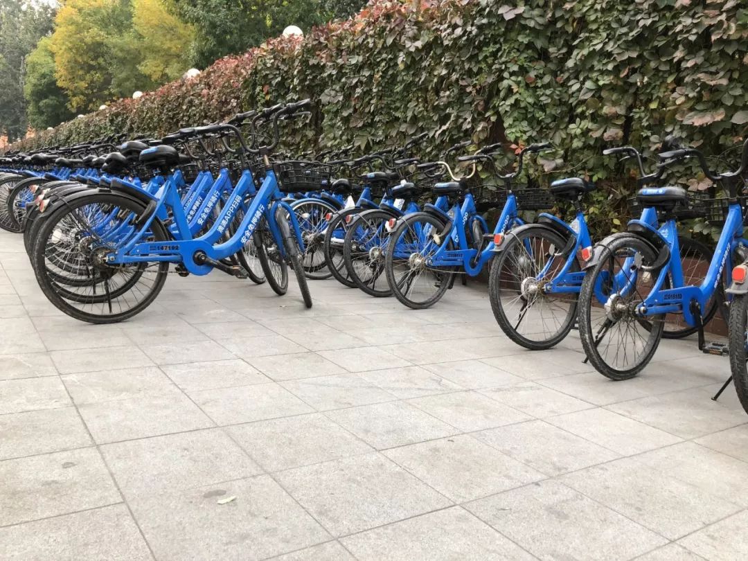 “消失”的小黄车
