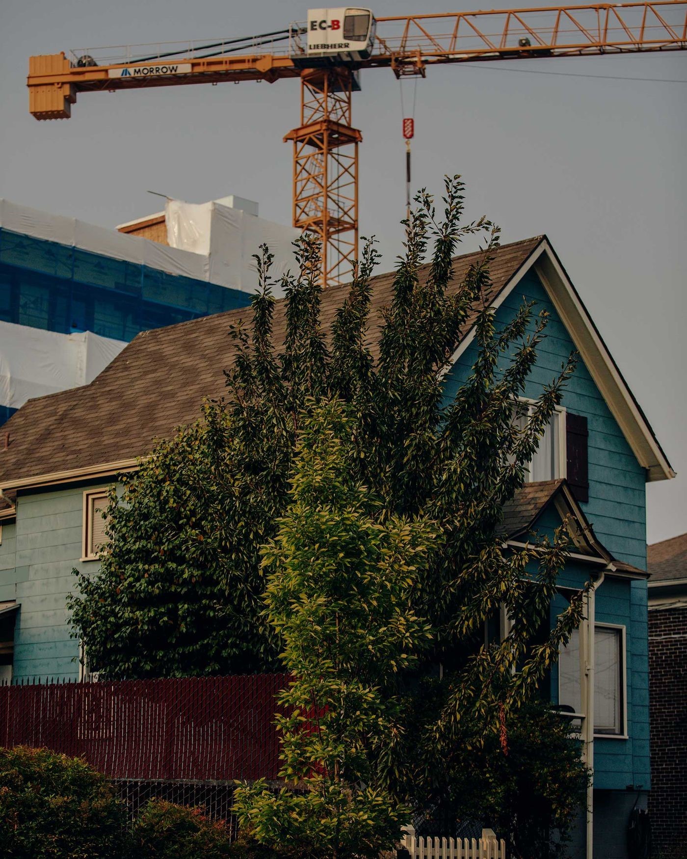 被科技巨头“吞噬”的西雅图：房价高、交通差