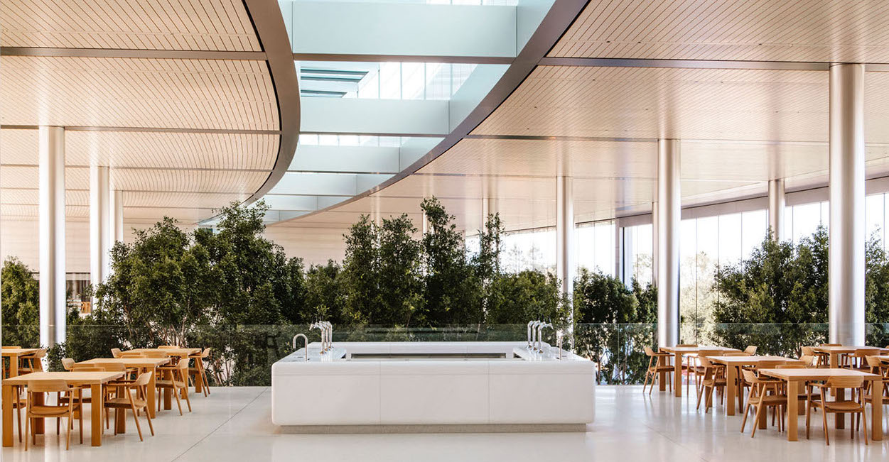 你嫌 iPhone X 贵，然而它却比 Apple Park 里的这张椅子便宜