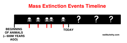 Description: Extinction timeline