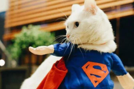 那些从BAT走出来的投资人：吴宵光、王刚投中独角兽，王啸投出了网红日食记