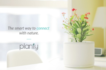 【氪TV视频】Planty智能花盆，你的养花好帮手