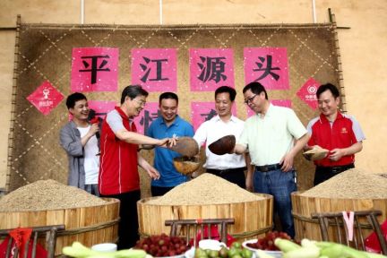 蚂蚁金服投资农村小贷中和农信，还与中华保险合作放贷，皆为补足线下能力