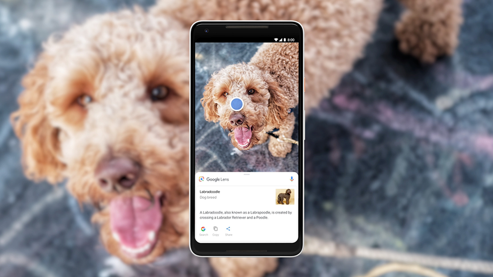 “善解人意”的手机相机：从人像模式和Google Lens谈起