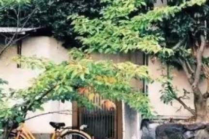 从消费者的“刻意感”，看乡村开发的定位思路是什么