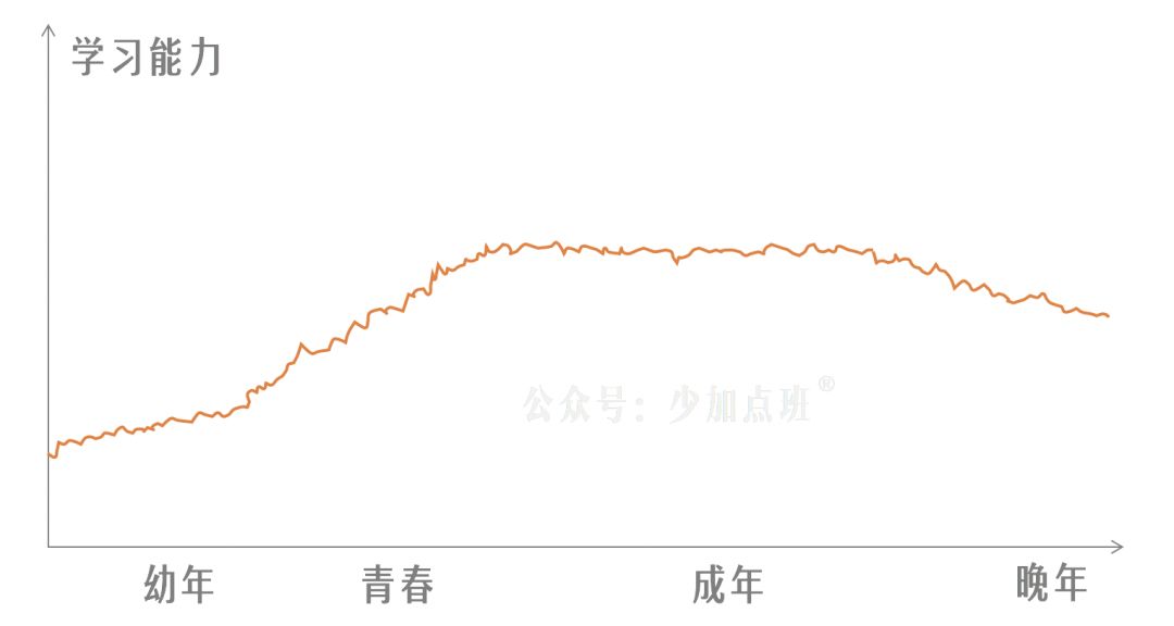 自毁简史：对一切“学习问题”来一次总清算