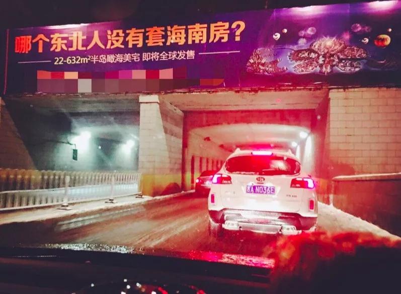 不是东北人选择了海南，而是海南选择了东北人