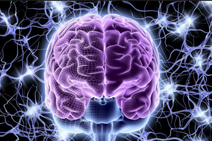 Nara模仿神经元网络设计推荐算法，根据人的偏好与品味推荐餐馆