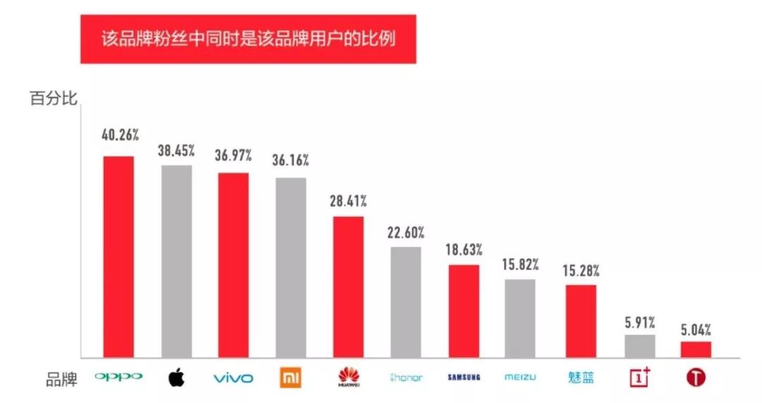 罗永浩认怂