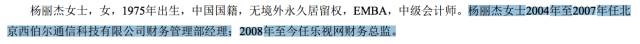 谁在给贾跃亭背锅？