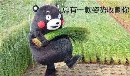 淘宝快过来给你播个宝贝