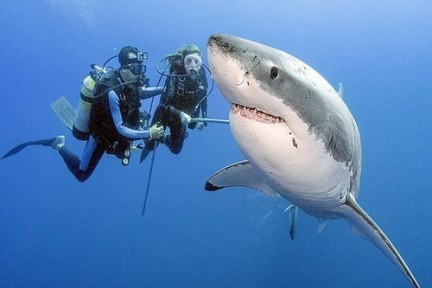 讲故事这事儿，合乎“媒体守恒定律”