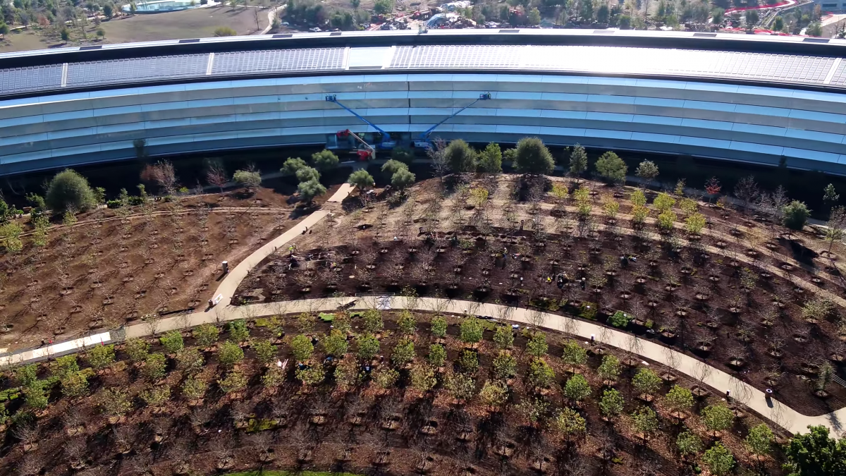 苹果新总部Apple Park已完工，员工曝光了“宇宙飞船”一系列内景图 | 图说