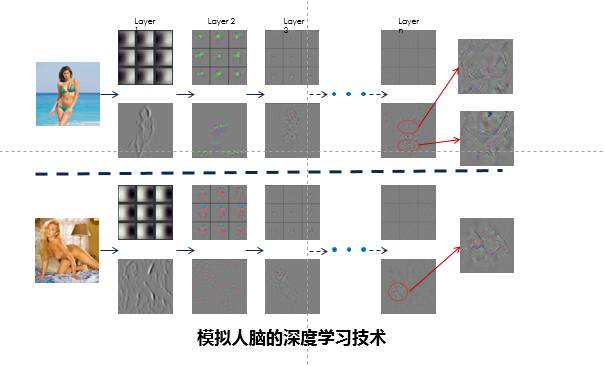 “色流”产业十年风云录：40万大军，吸食百亿利润