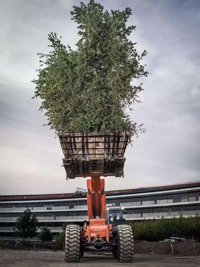 苹果首席设计师，细谈与乔布斯合作的最后一个作品