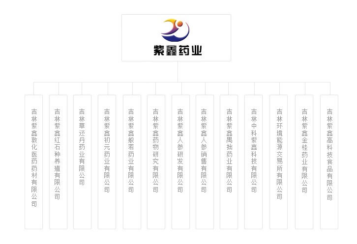 紫鑫药业拟4200万美元投资美国基因公司Nabsys 2.0，欲加快国际化发展