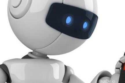 在人机交互领域，bot 是一个转折点
