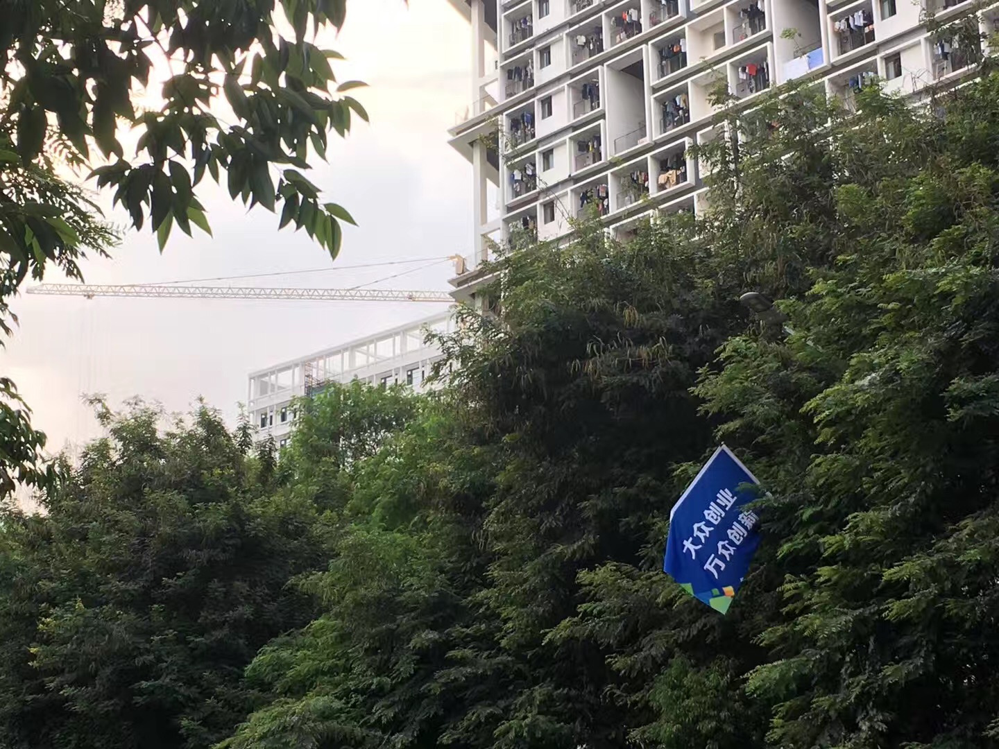 中国创业病人