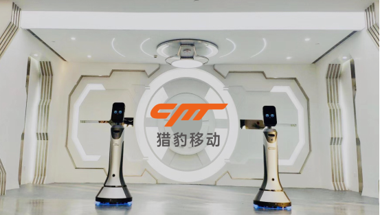 猎豹移动2019年总营收近36亿元，AI等收入增长72%