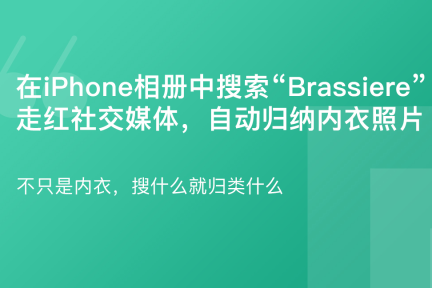 「国外什么最火」11月2日