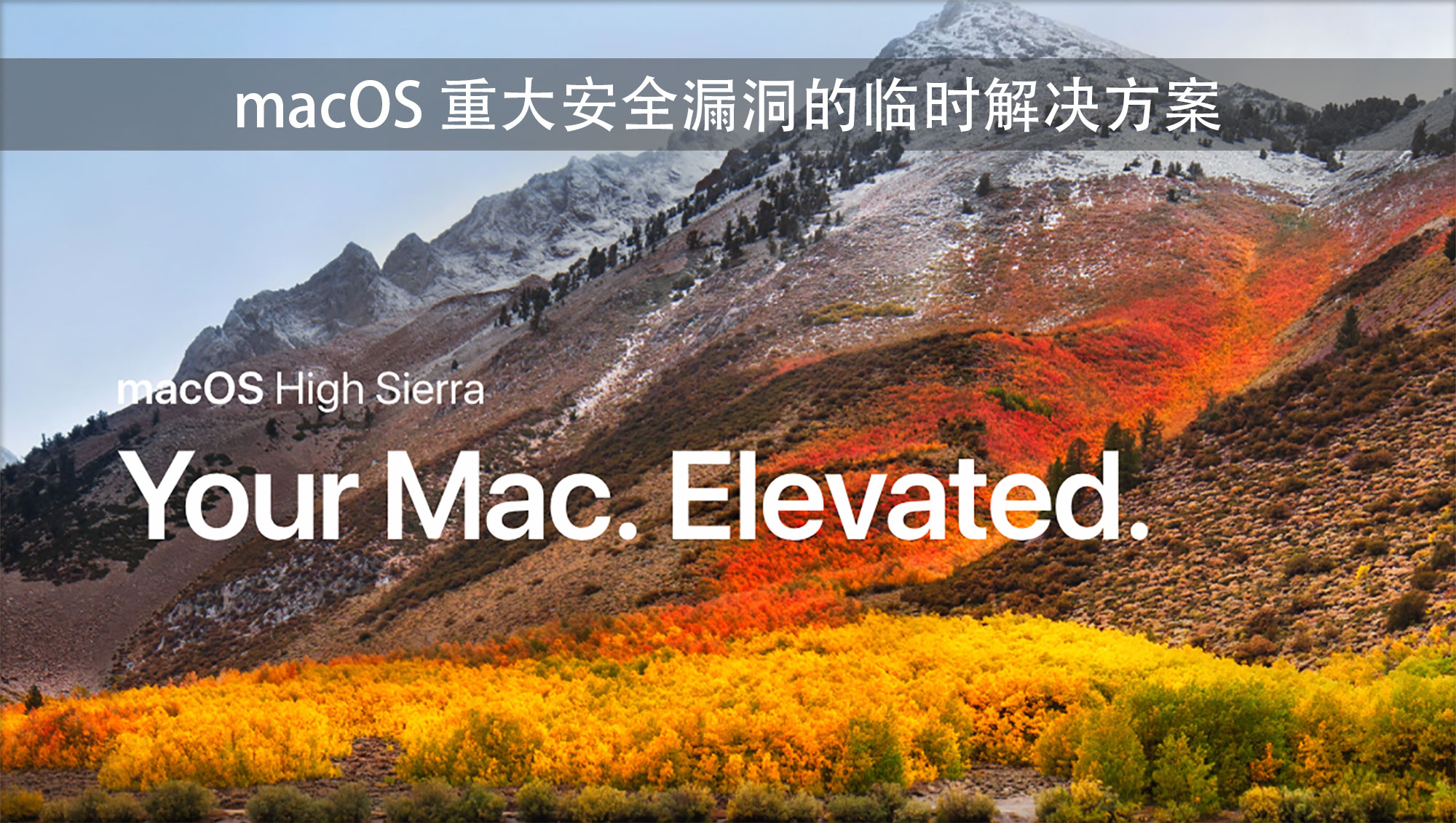 macOS 重大安全漏洞：无密码获得管理员权限（附临时解决方案）