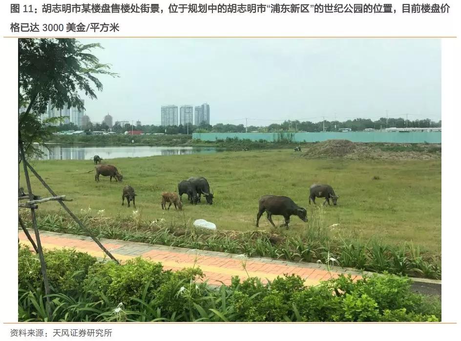 下一个中国：到底是印度还是越南？