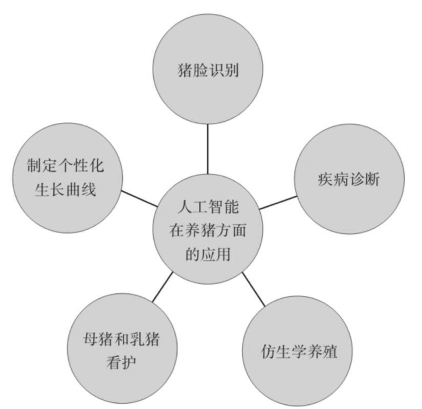 最近火起来的“新基建”，解决了这些痛点