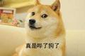 腾讯自家做的小程序，让微信群功能更加强大的秘密 