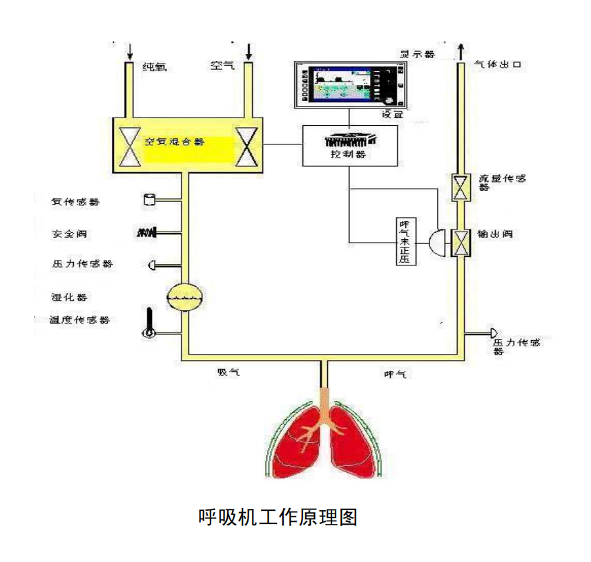 国产呼吸机全球卖断货，1小时涨4万元，实则表面风光？