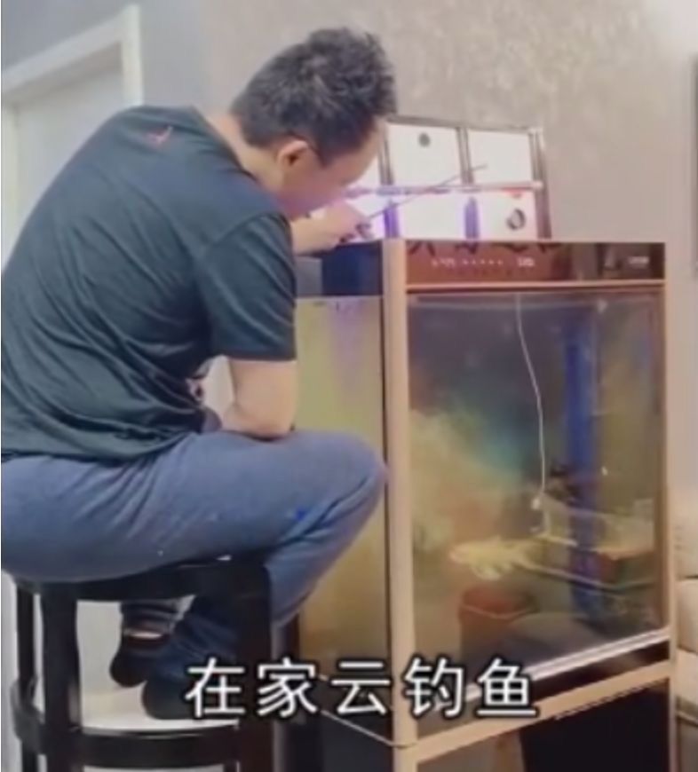 氪外活动 | 云钓鱼、云赏花、云旅游.....春季宅家的N种方式