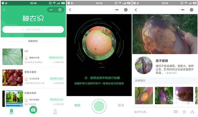 拍照识别农作物病害，「神农识」想做3亿农户的学习社区