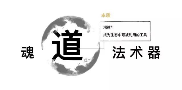 杨守彬：IP就是蒸在锅里的螃蟹，想红就必须忍着