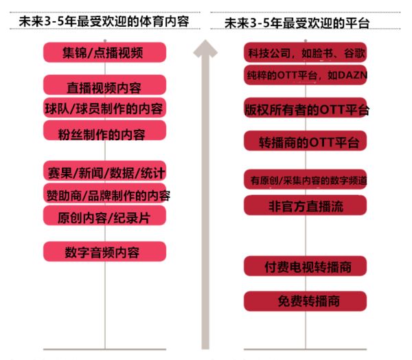 体育产业的年轻人冲击波