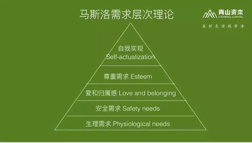 宠物消费升级——80 90后的“孤独生意”