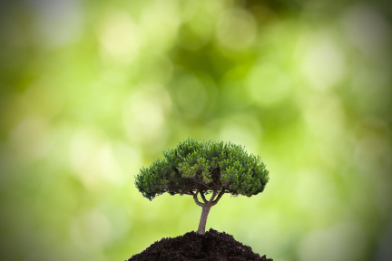 从蓝色方略这片土壤成长起来的 SaaS 应用“活动树”，想在未来结出什么样的果实？