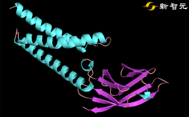 DeepMind祭出预测新冠病毒“蛋白质折叠”重磅武器：AlphaFold，精度碾压生物与病毒专家-36氪