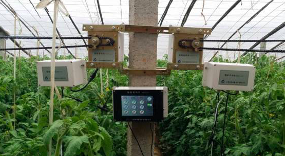 以温控器为切入，洲涛智能想借物联网提升农户蔬菜种植效率