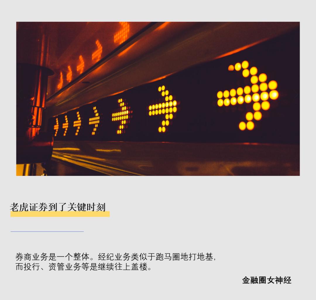 地基与盖楼，老虎证券到了关键时刻-36氪