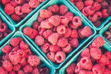 互联网曾是个人网站的“桃花源”，如今却毁于巨头