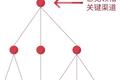 为何“直播”和“内容”会成为现象级的行业风口？