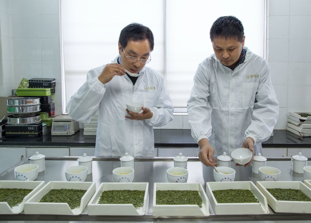 上市当天增长 74.3%，竹叶青何以成为 2020 年春茶「爆品」？