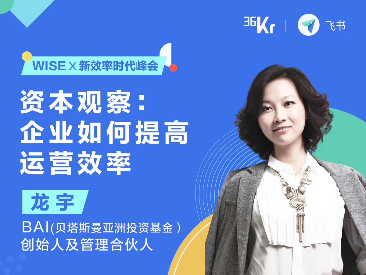 BAI龙宇：企业要有灾备意识，提升常态化效率 | WISE x 新效率时代峰会