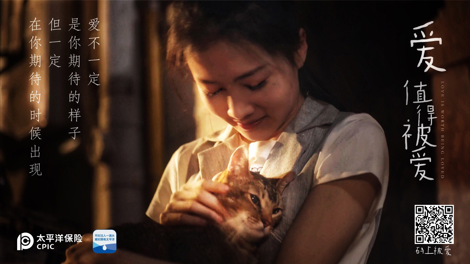 一段温情告白:流浪猫与都市白领演绎爱与被爱(图2) 一段温情告白:流浪猫与都市白领演绎爱与被爱(图2)