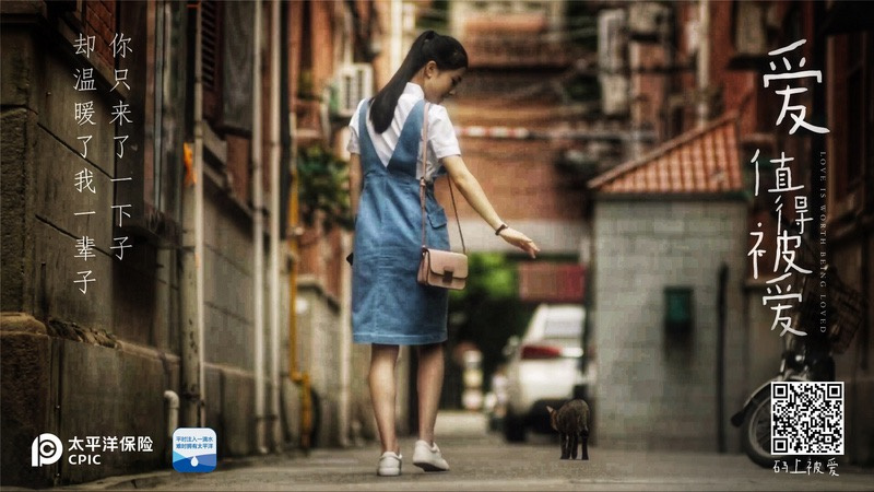 一段温情告白:流浪猫与都市白领演绎爱与被爱(图4) 一段温情告白:流浪猫与都市白领演绎爱与被爱(图4)