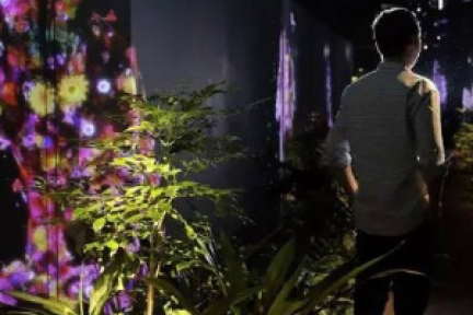 日本色情之王是如何成为创业明星，并被一流大学邀请做毕业演讲的？