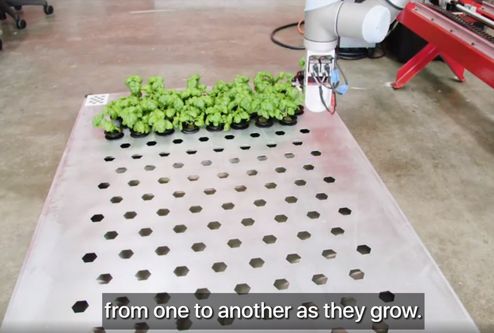 自主种蔬菜、无损摘水果，市场已经把人类的食物供应交给机器人了