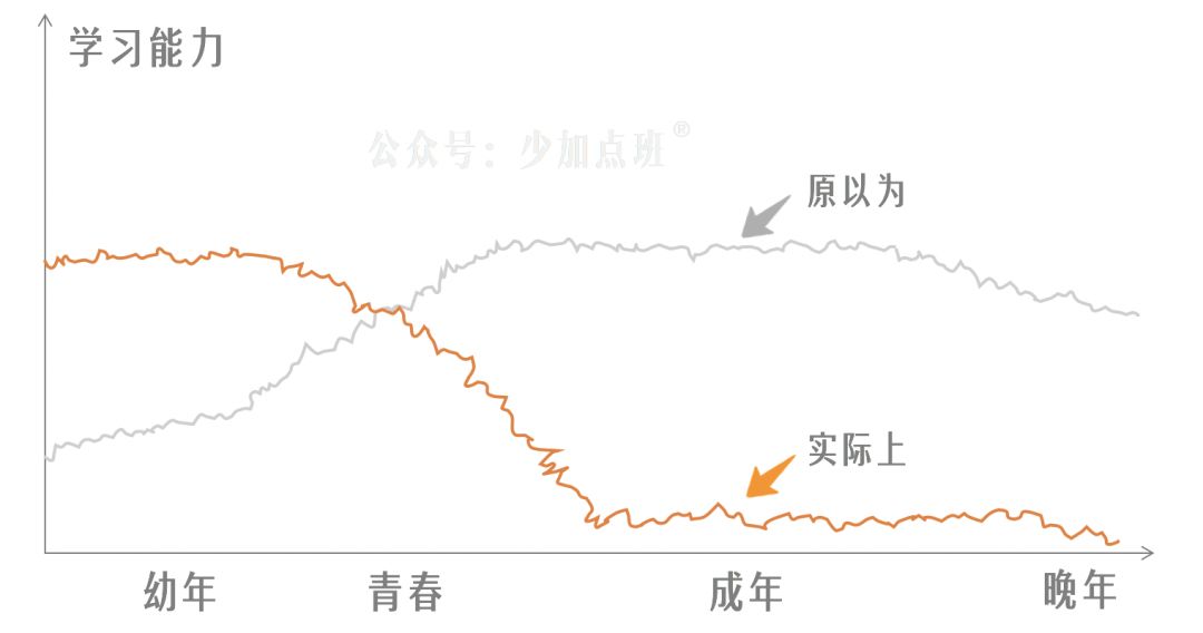 自毁简史：对一切“学习问题”来一次总清算