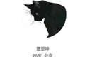 自由撰稿，如何从0开始做到月薪六万？| 100个不上班的人